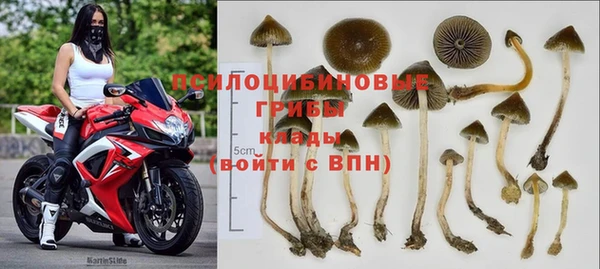 COCAINE Абаза